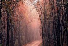 拉齐奥客场逆转胜亚特兰大，喜迎胜利