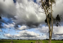 德国队在欧预赛中大获全胜，成功晋级——卫冕之路再启，荣耀与激情同在