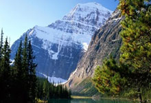 卡利亚里成功逆转战胜萨索洛，实力得到认可